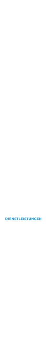 DIENSTLEISTUNGEN